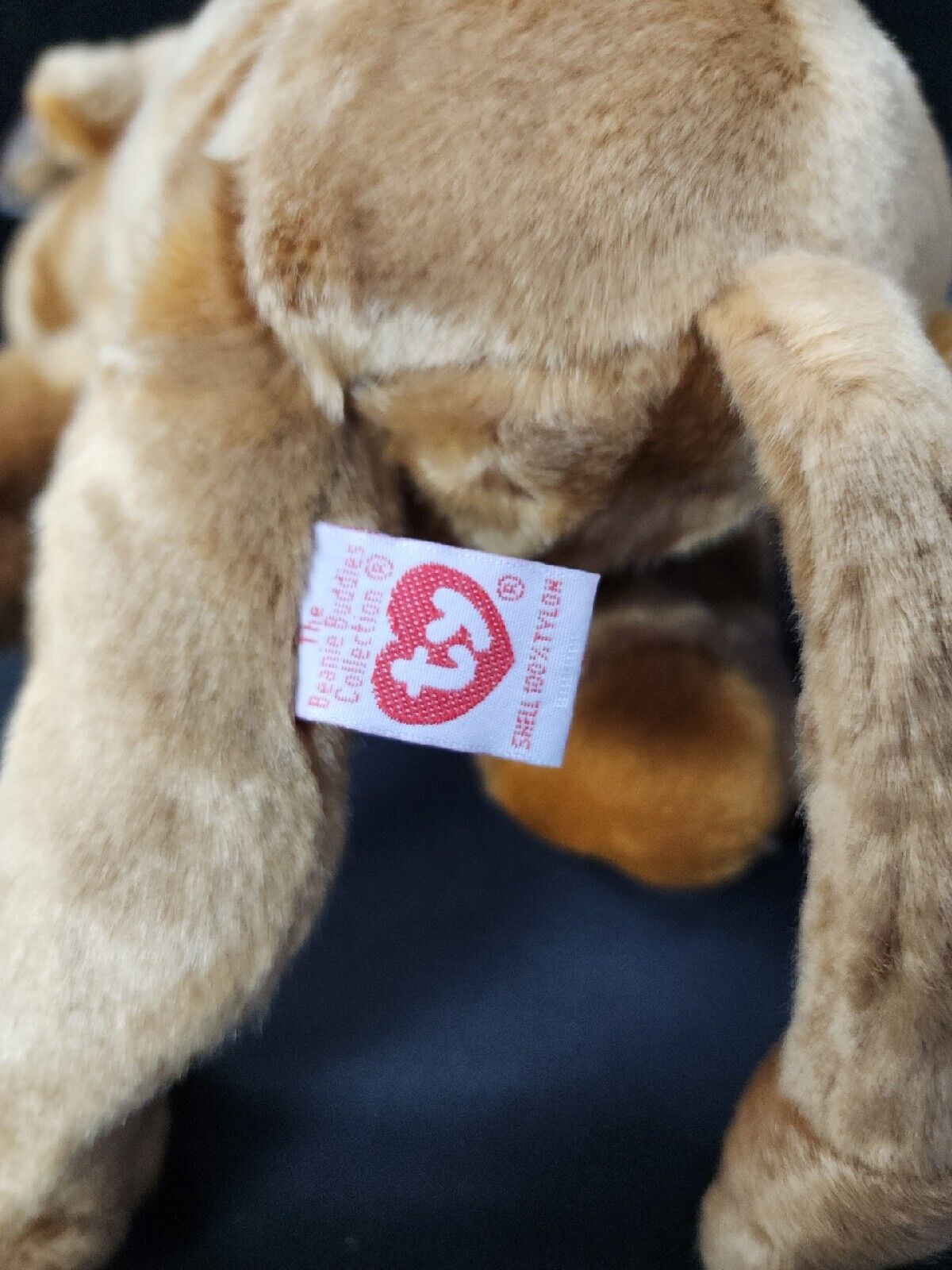 Original 1998 Beanie Buddies TY Humphrey The Camel Beanie Baby Plush With TAG