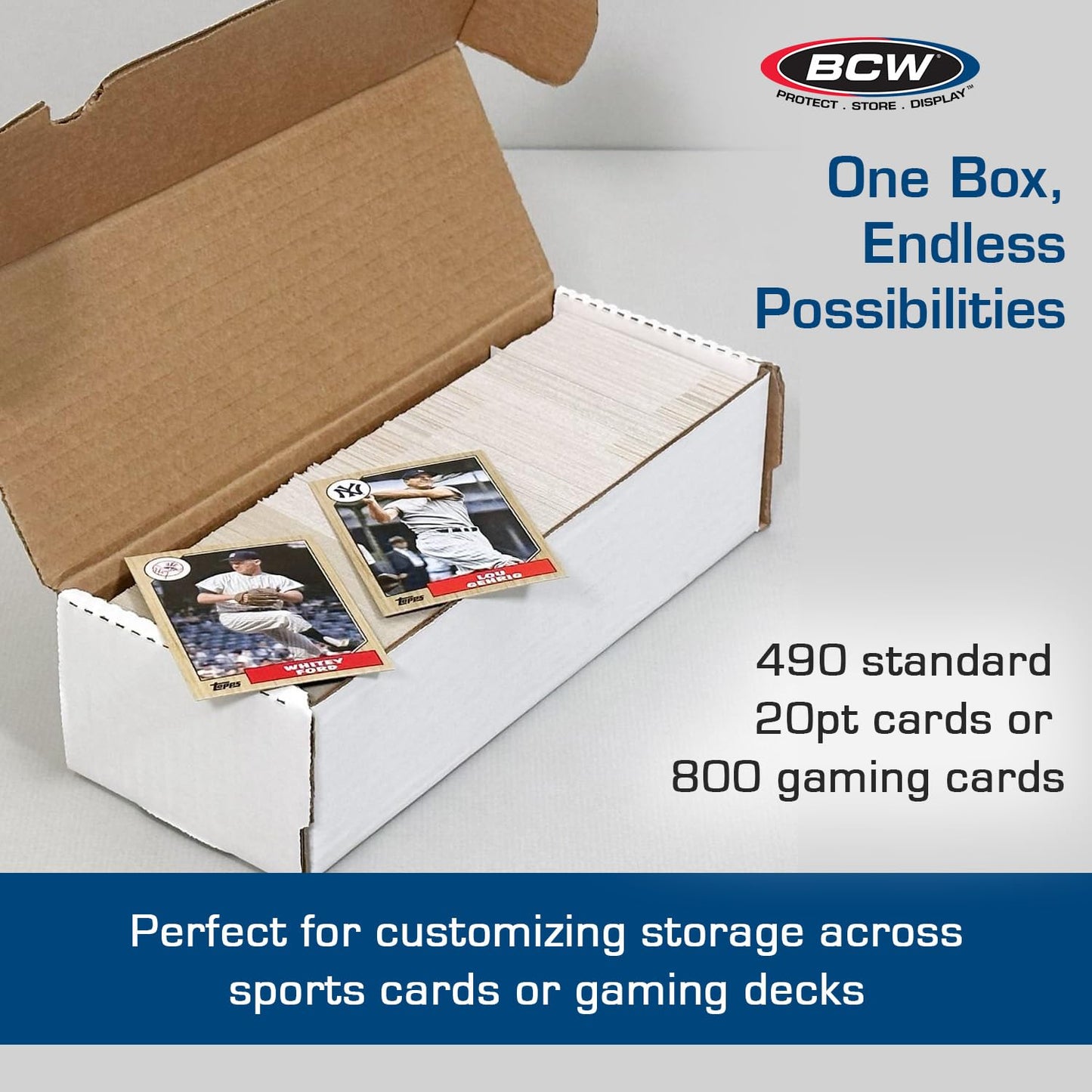 550 CT Storage Box